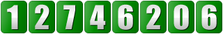 web visitor counter