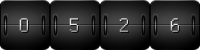 website counter