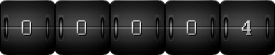 web counter